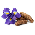 Iris Root Extract 
